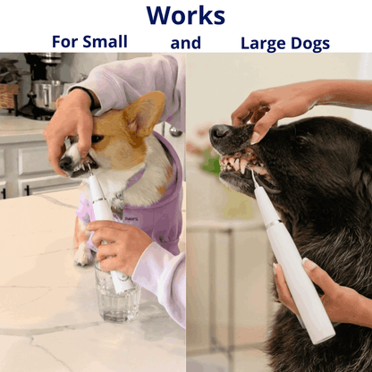 Canivet Kit - Silent Ultrasonic Plaque & Tartar Remover for dogs